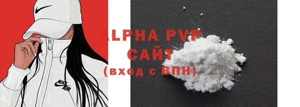 МДПВ Инсар