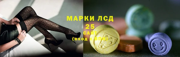 МДПВ Инсар