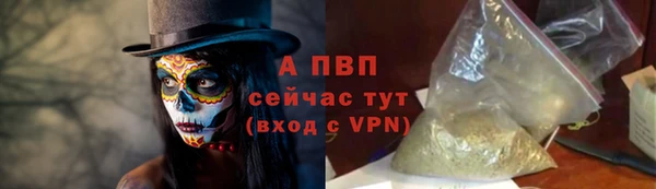 МДПВ Инсар