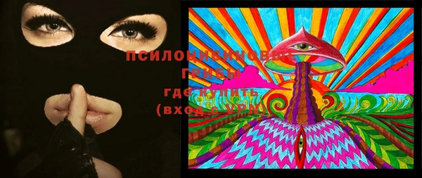 МДПВ Инсар