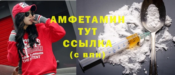 МДПВ Инсар