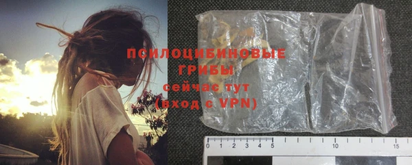 МДПВ Инсар
