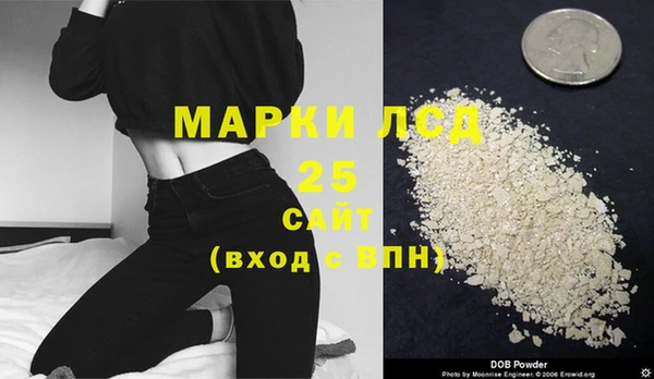 МДПВ Инсар