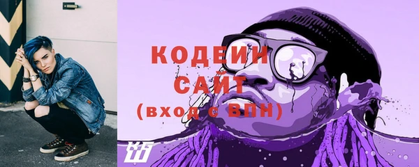 МДПВ Инсар